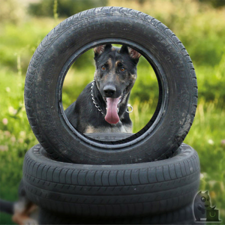 Sprenger Colar Metálico Aço Inox 2 mm