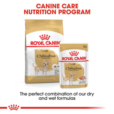 Royal Canin Seca Chihuahua Adulto