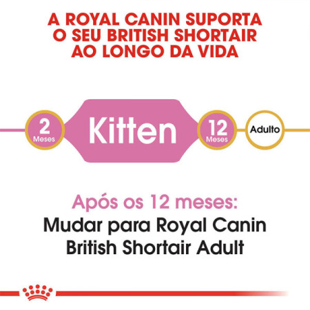 Royal Canin Seca British Shorthair Kitten