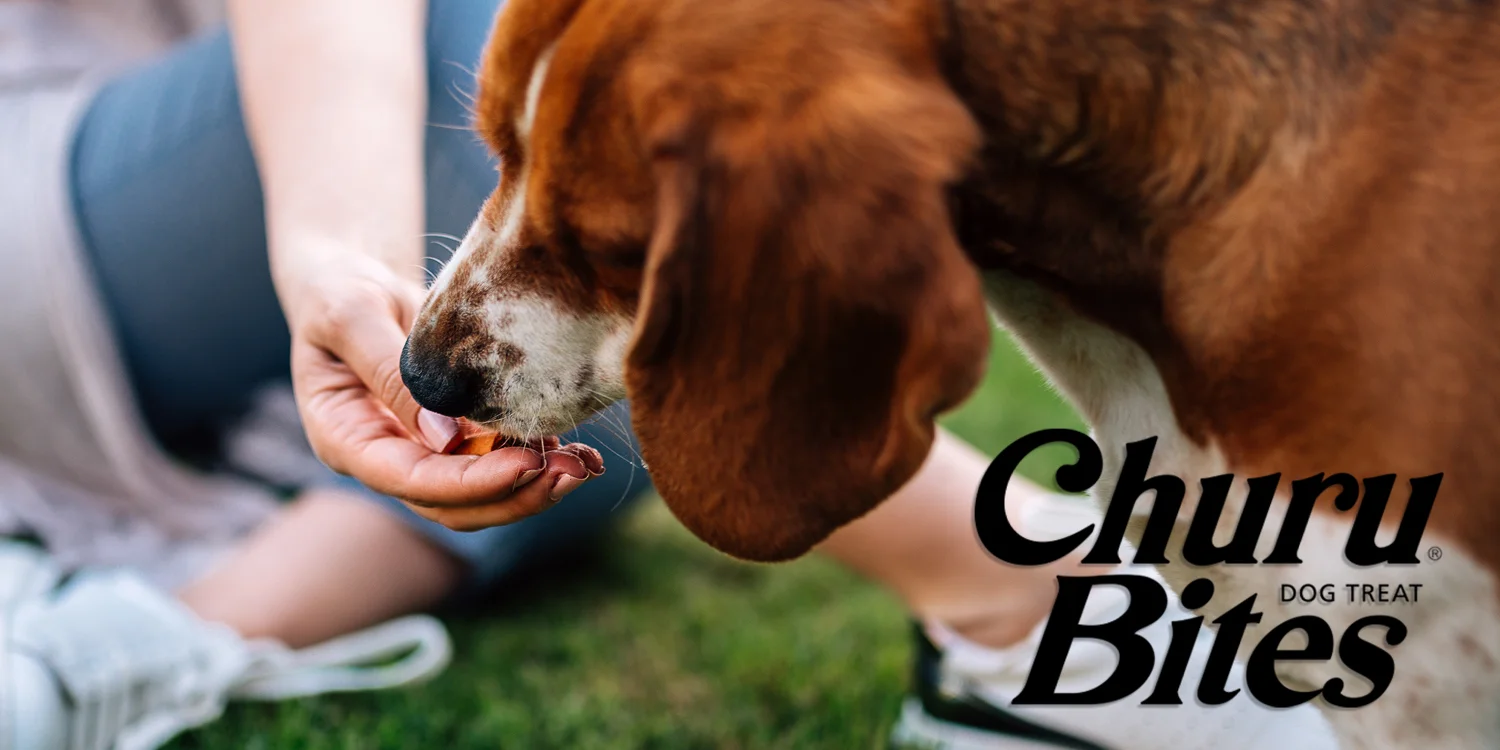 Churu Bites para cão