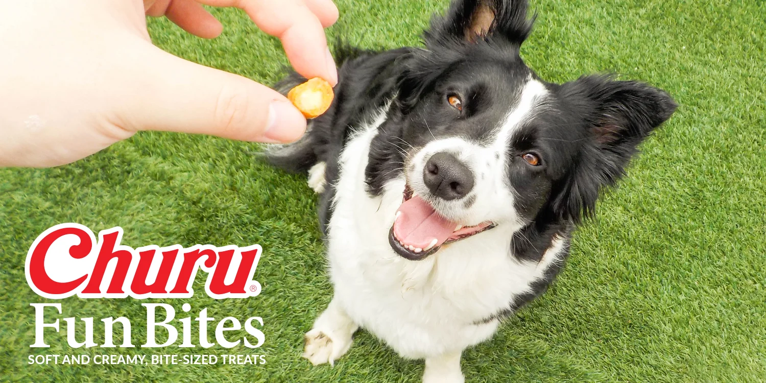 Churu Fun Bites para cães