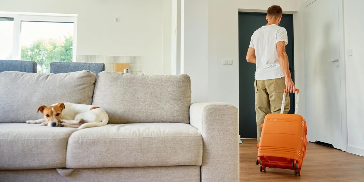 cão calmo enquanto o dono sai de casa sem causar ansiedade