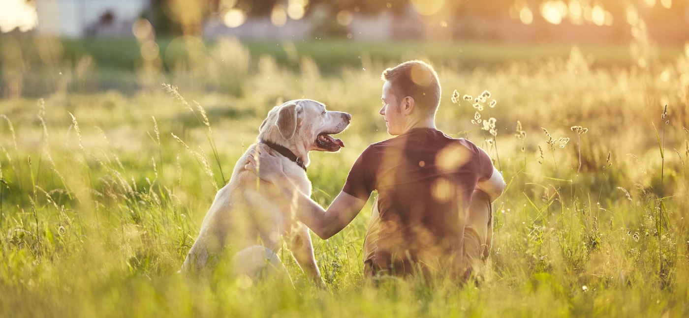 Cão feliz a passear ao ar livre com o dono