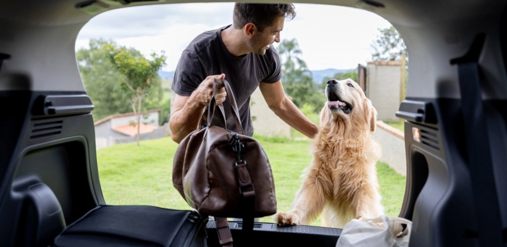 Preparar mala para viajar com cão